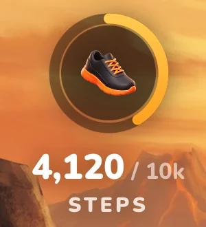 4,120 of 10k steps