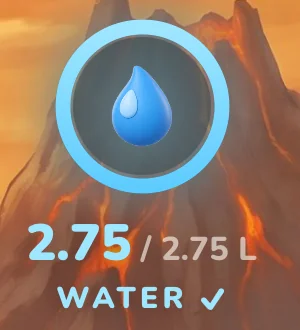 2.75 of 2.75 L water