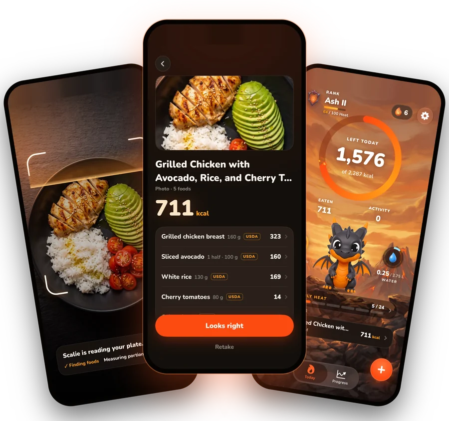 Scalie on iPhone: scan your plate, the AI counts each food, your calories left today