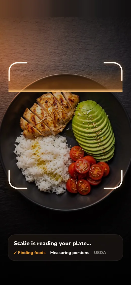Scan of a chicken bowl inside Scalie's camera frame